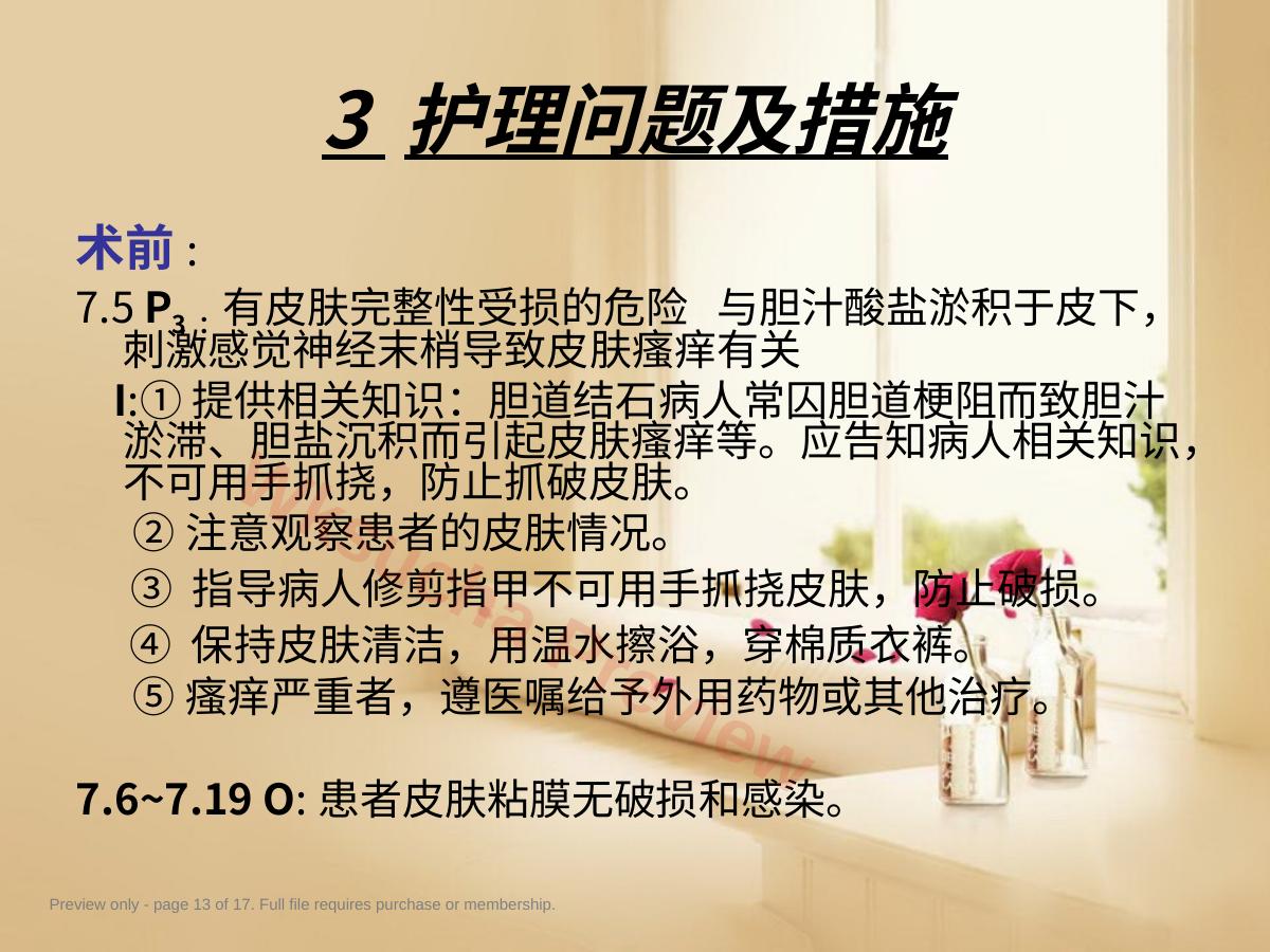 预览第 13 页