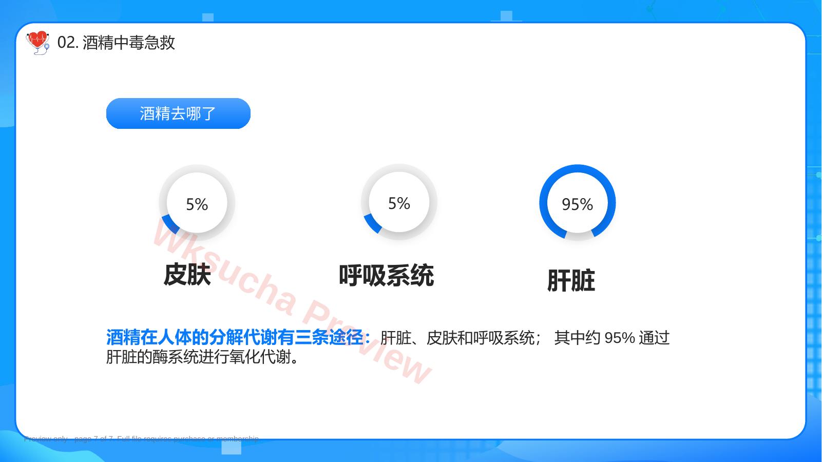 预览第 7 页