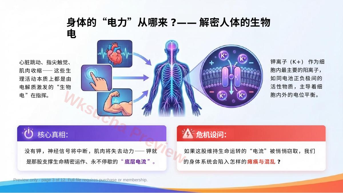 预览第 3 页