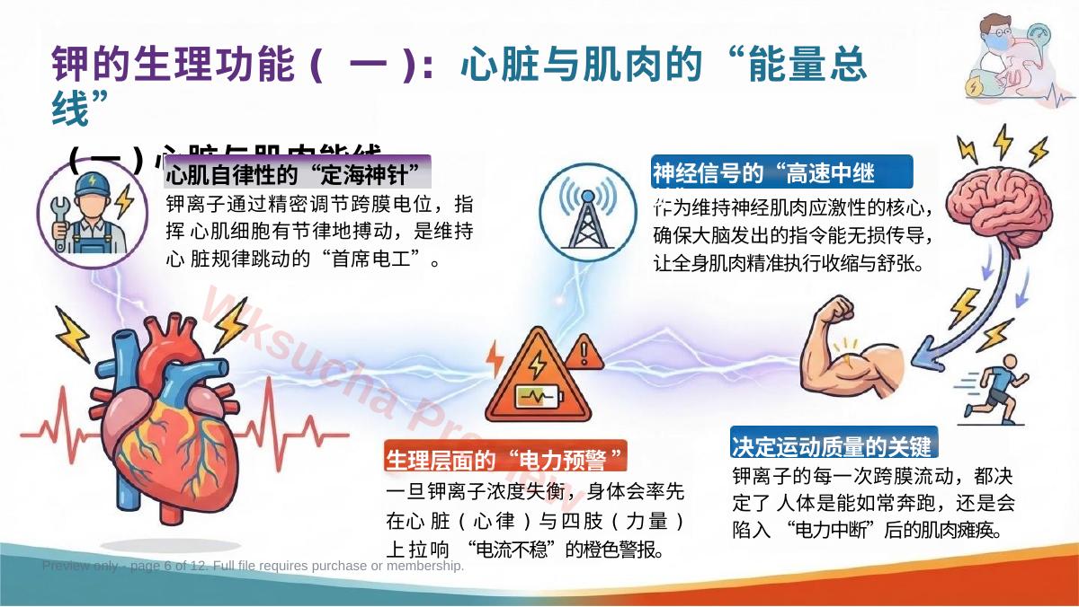 预览第 6 页