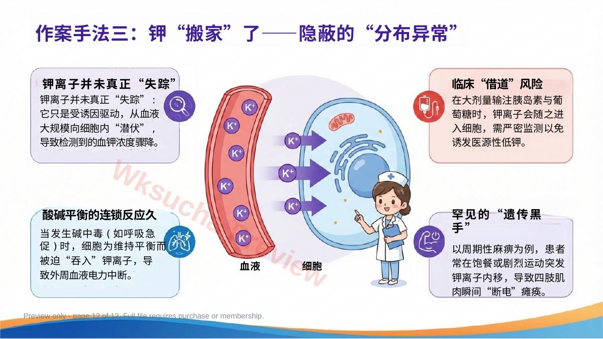 预览第 12 页