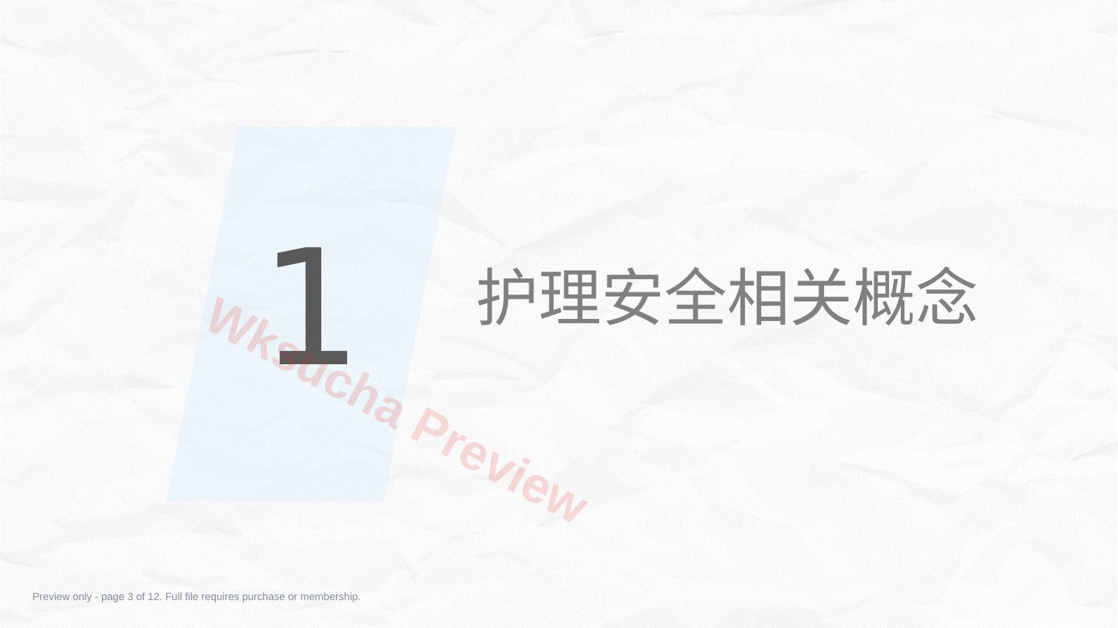 预览第 3 页