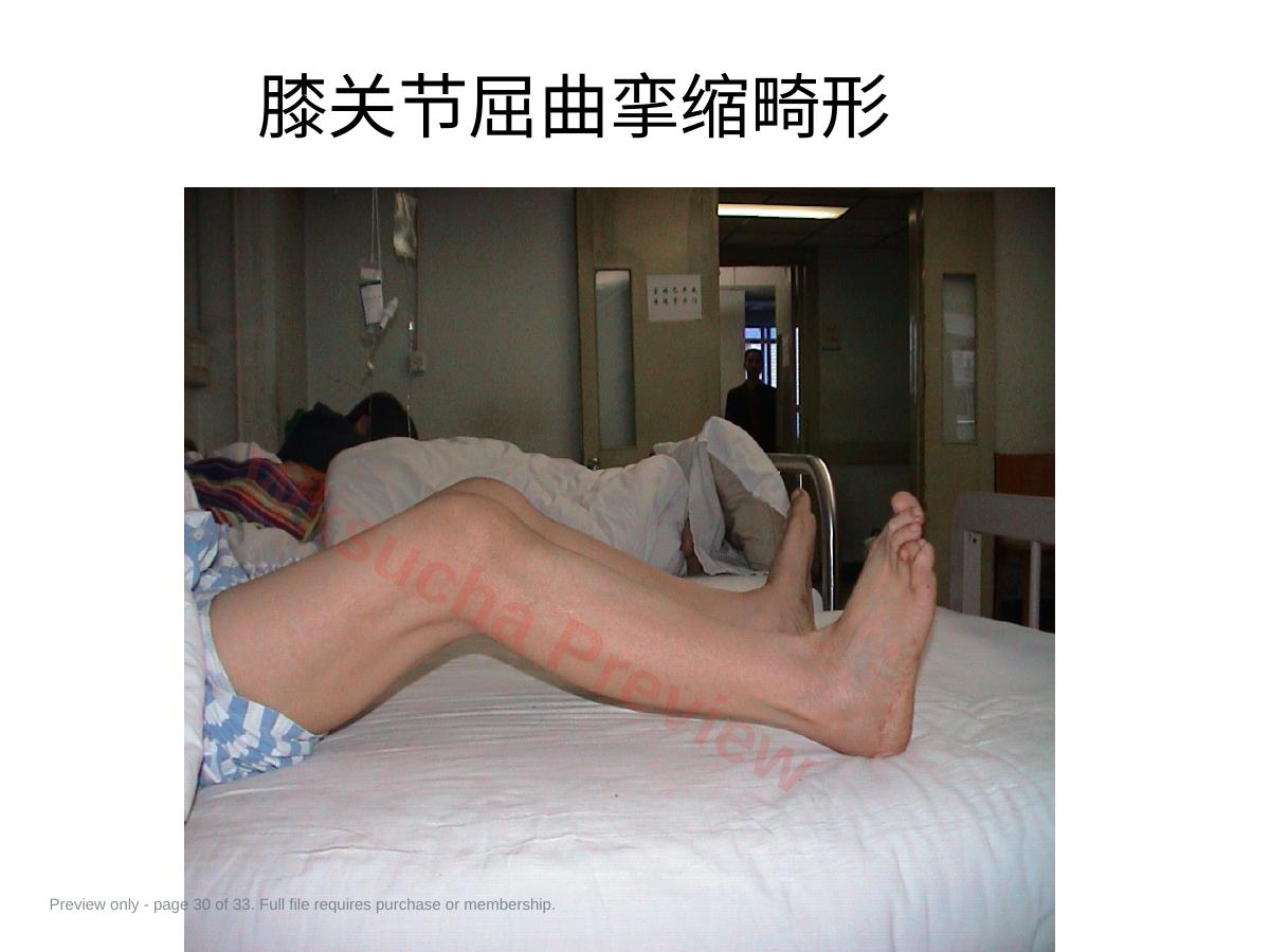 预览第 30 页