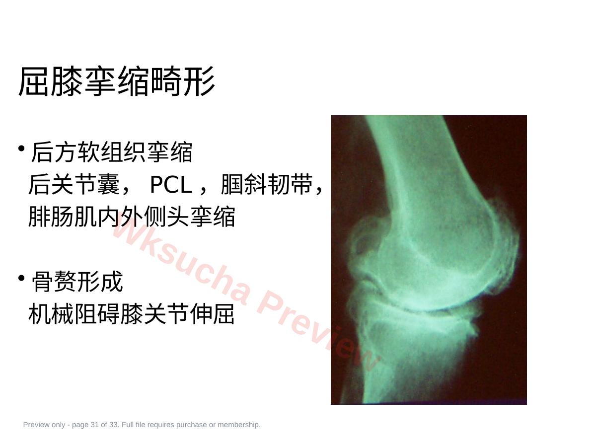 预览第 31 页