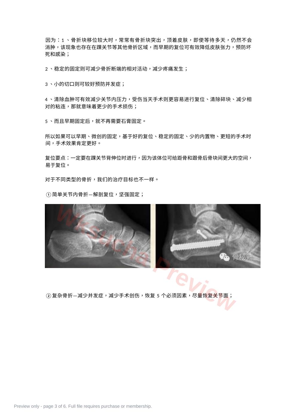 预览第 3 页