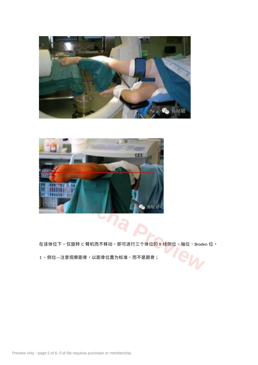 预览第 5 页