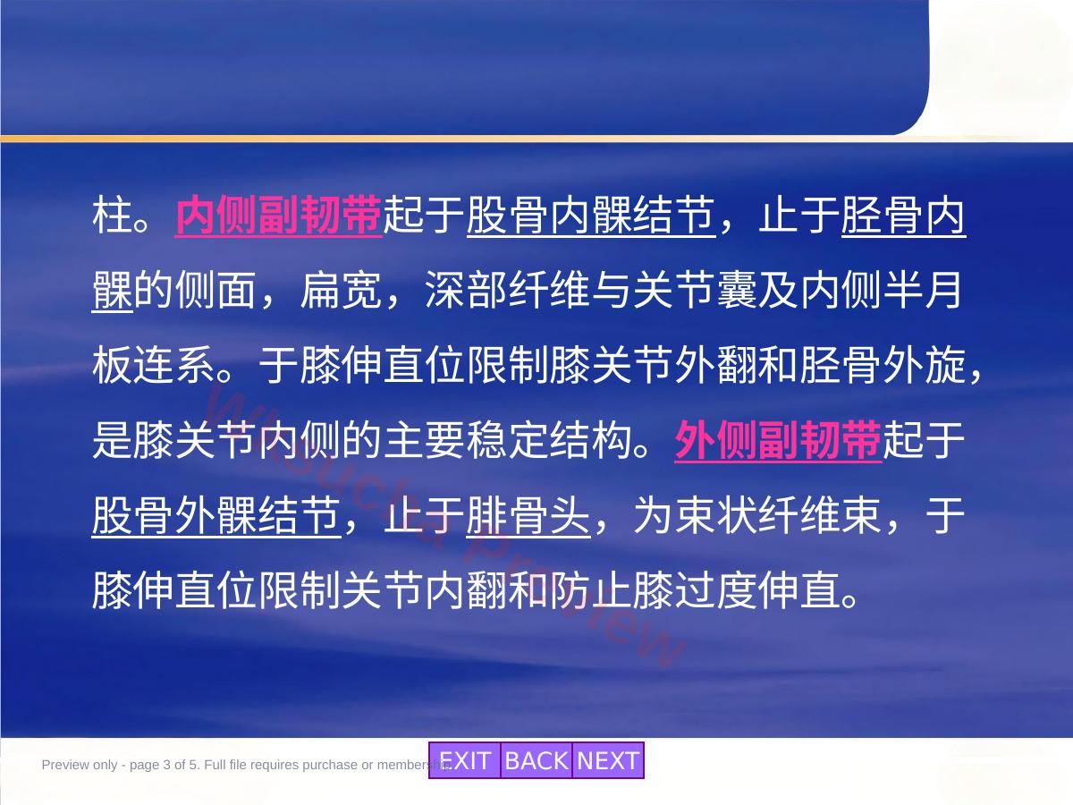预览第 3 页