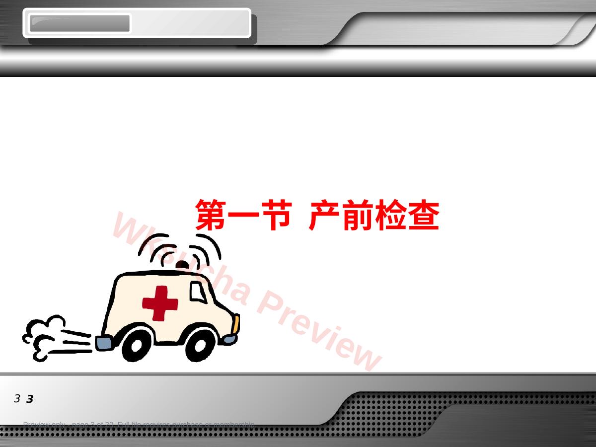 预览第 3 页
