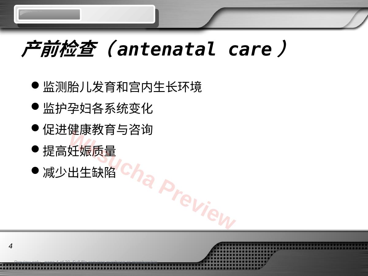 预览第 4 页