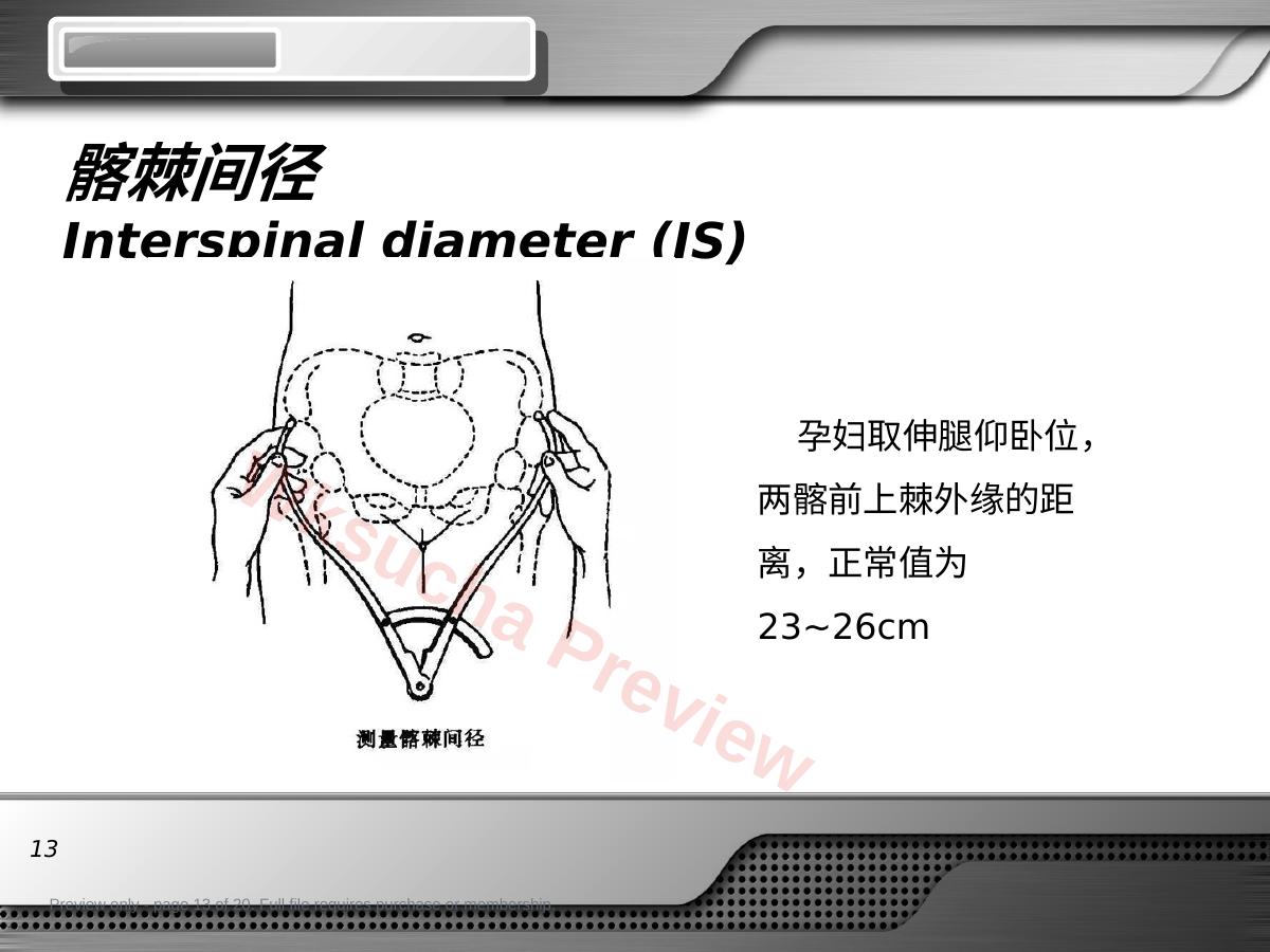 预览第 13 页