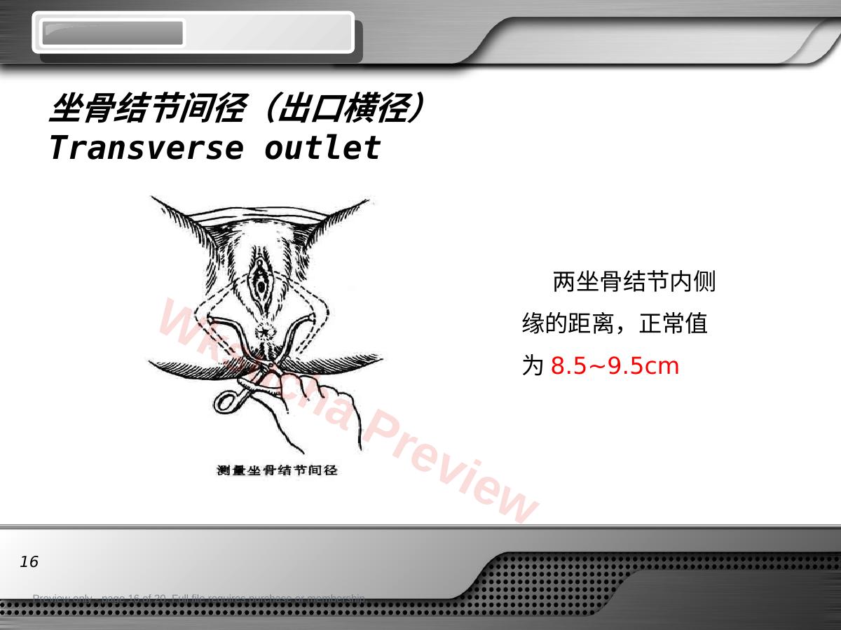 预览第 16 页