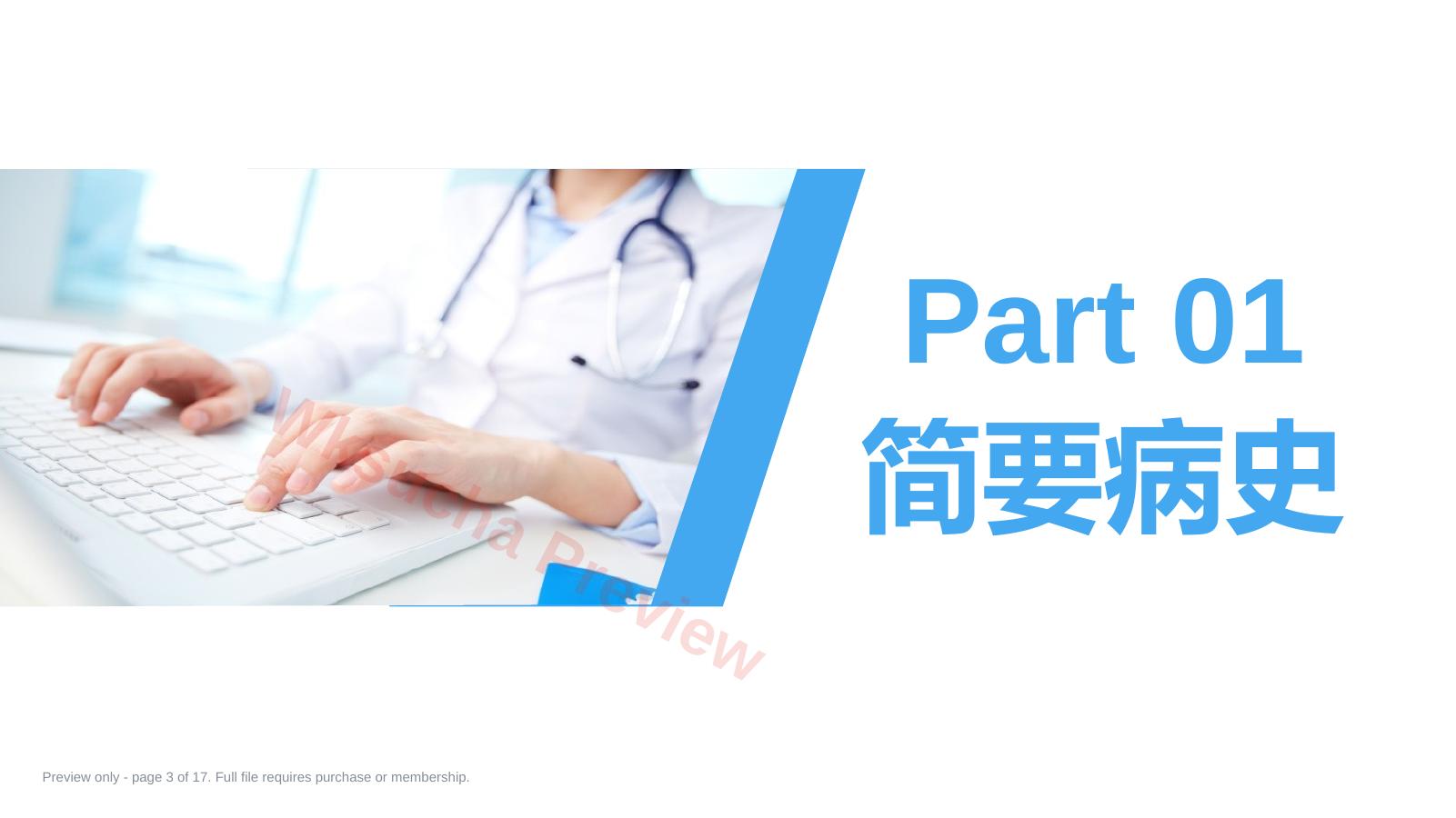 预览第 3 页