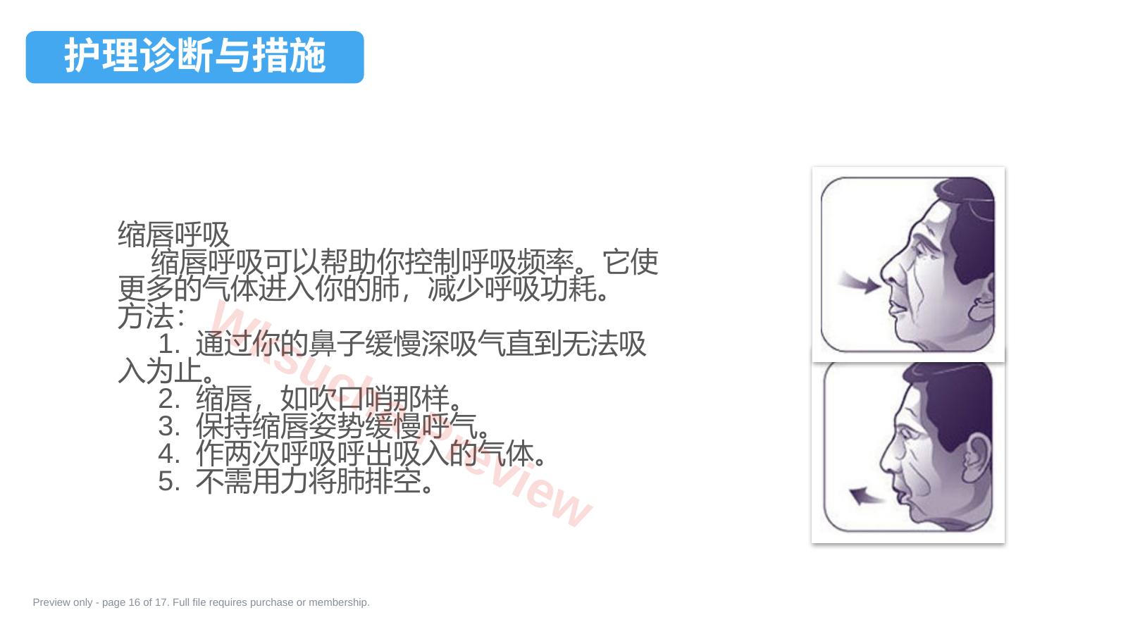 预览第 16 页