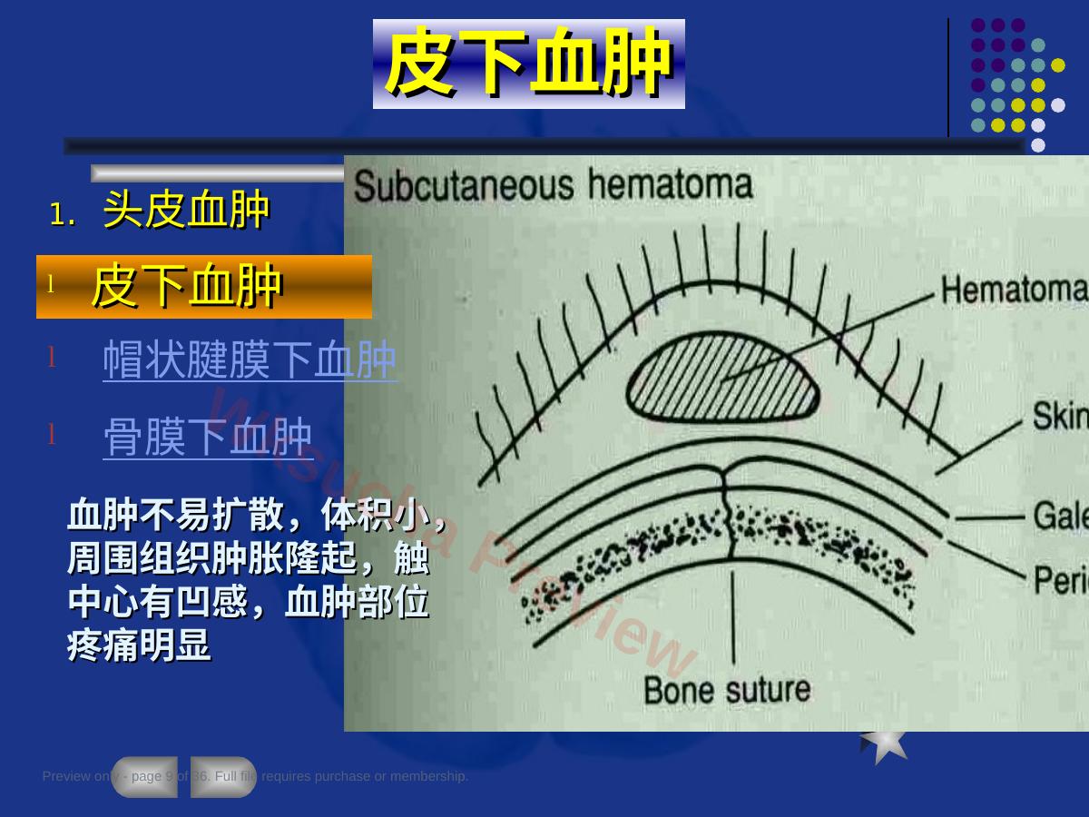 预览第 9 页