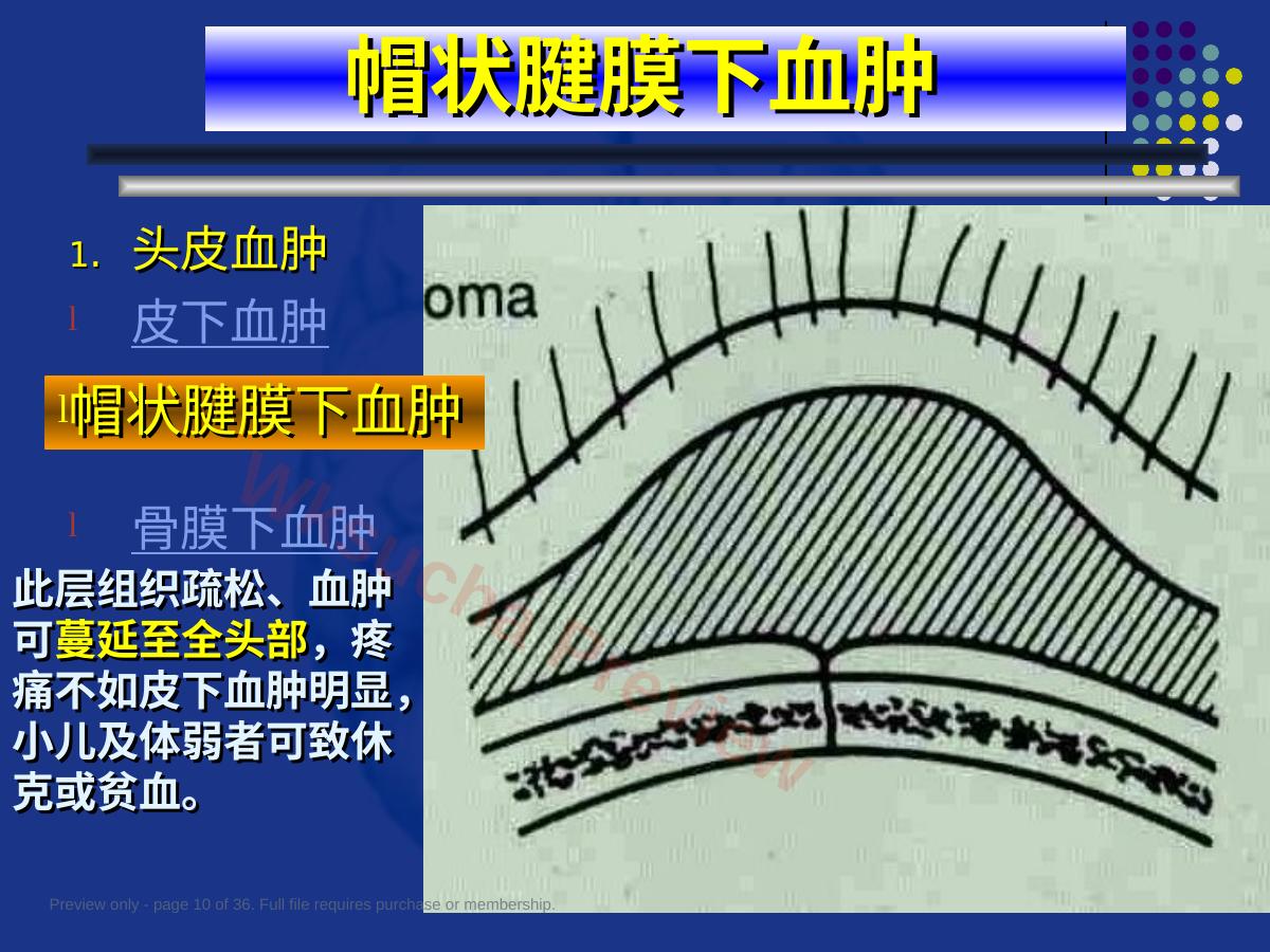 预览第 10 页