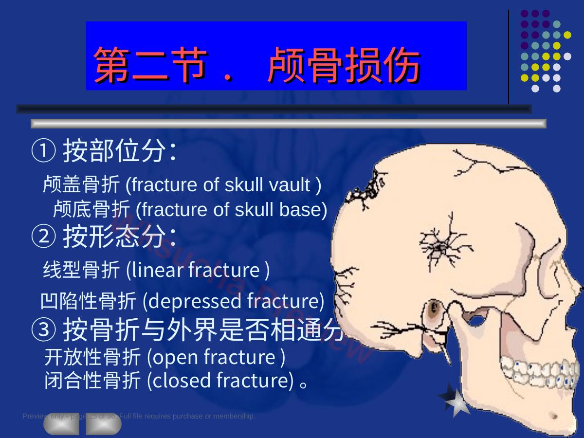 预览第 15 页