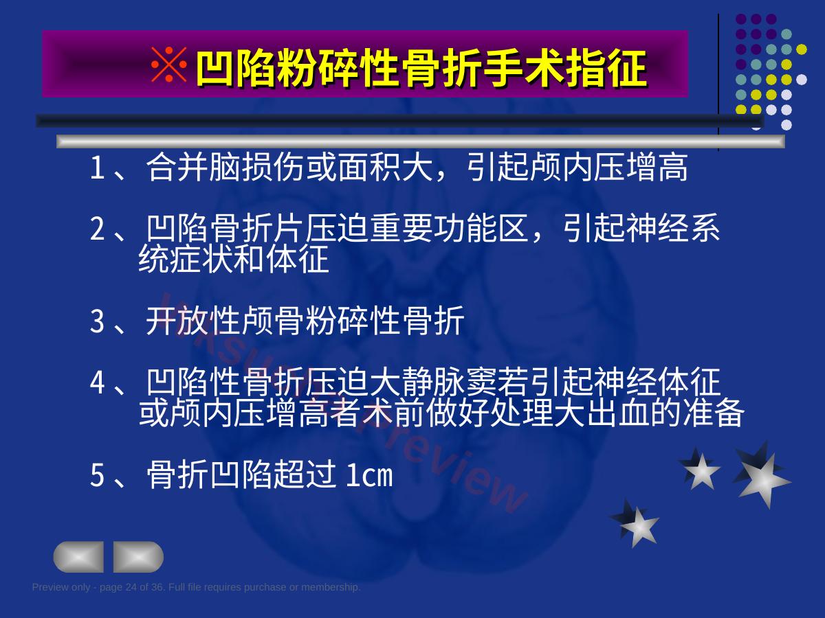 预览第 24 页