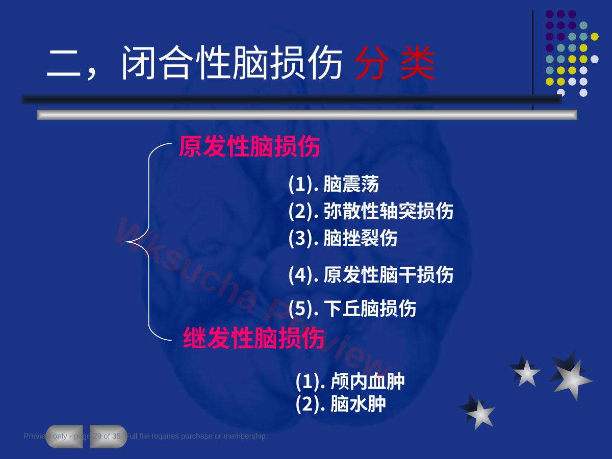 预览第 29 页