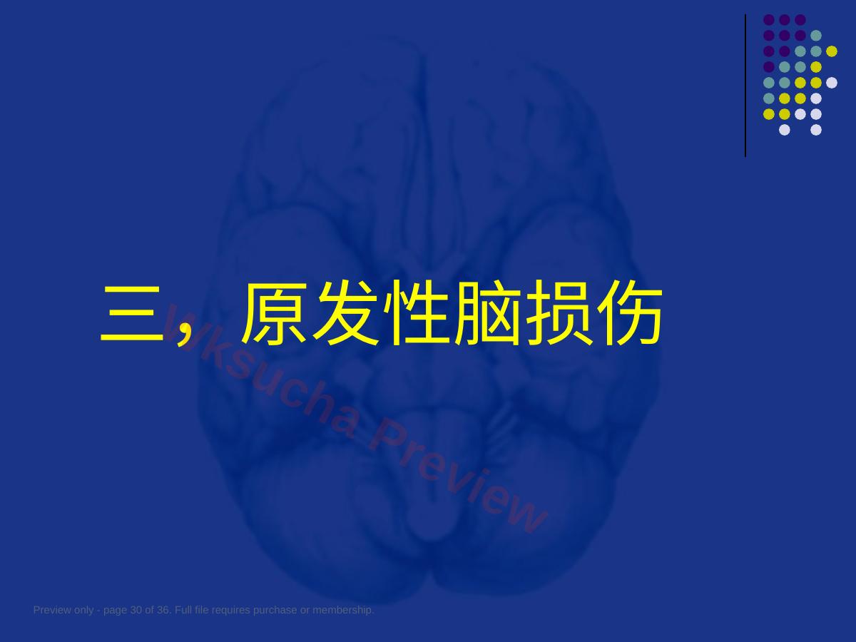 预览第 30 页