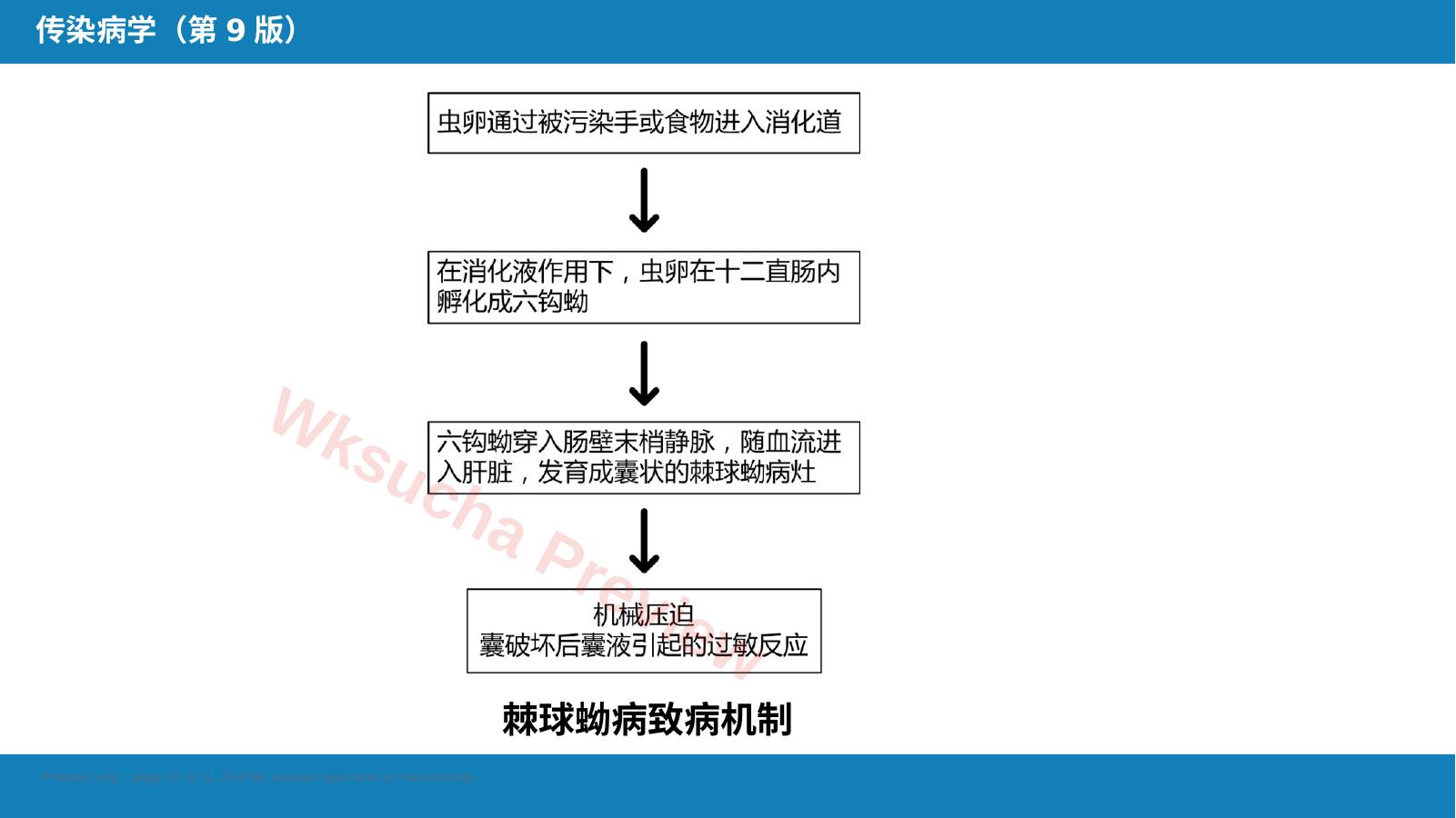 预览第 10 页