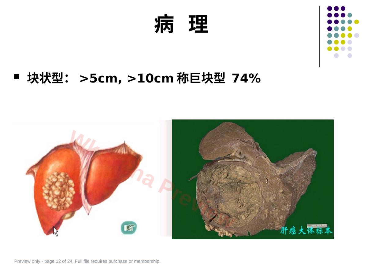 预览第 12 页