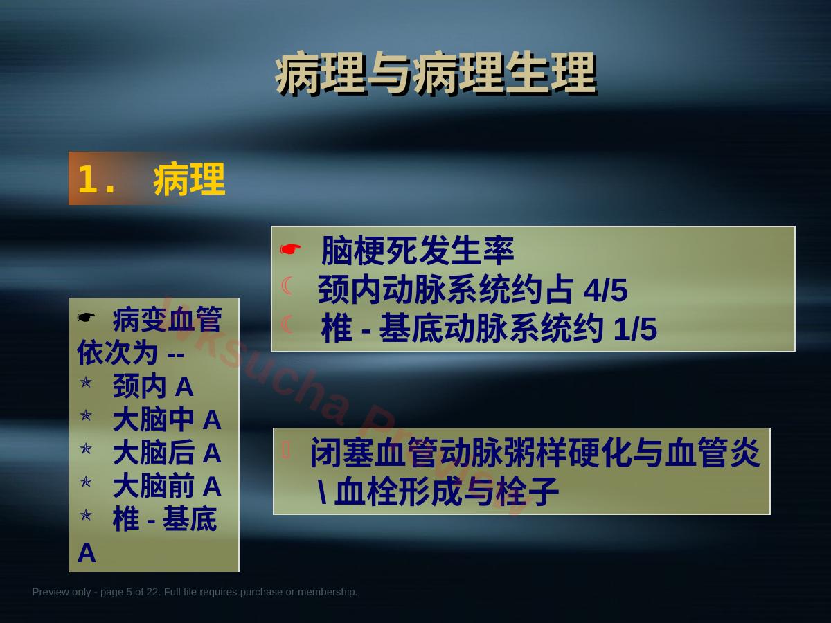 预览第 5 页