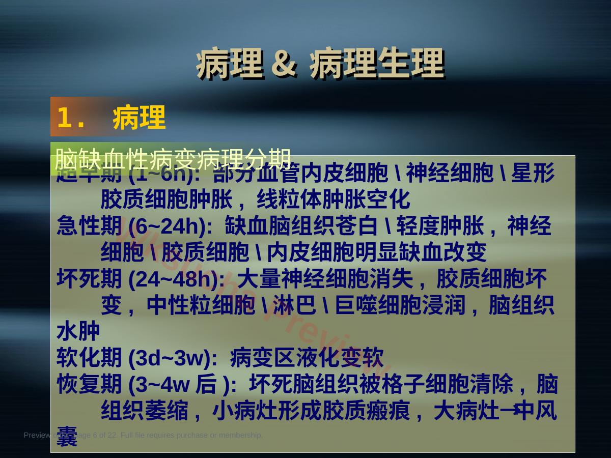 预览第 6 页