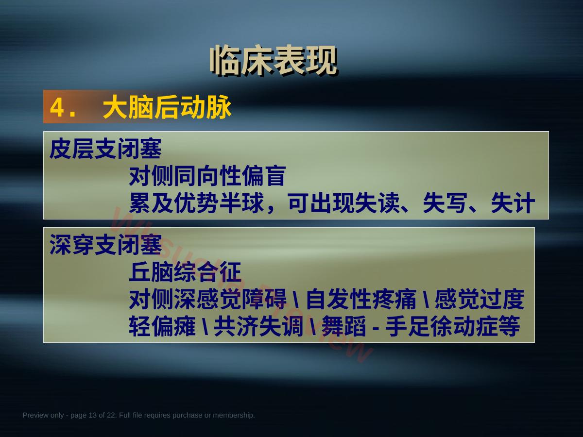 预览第 13 页