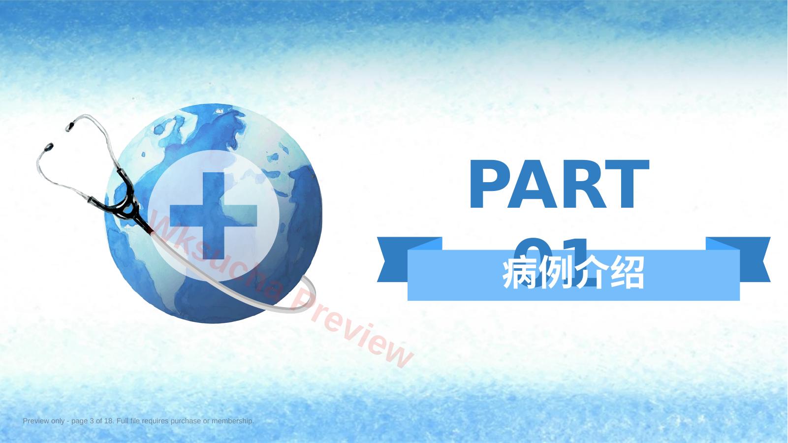 预览第 3 页