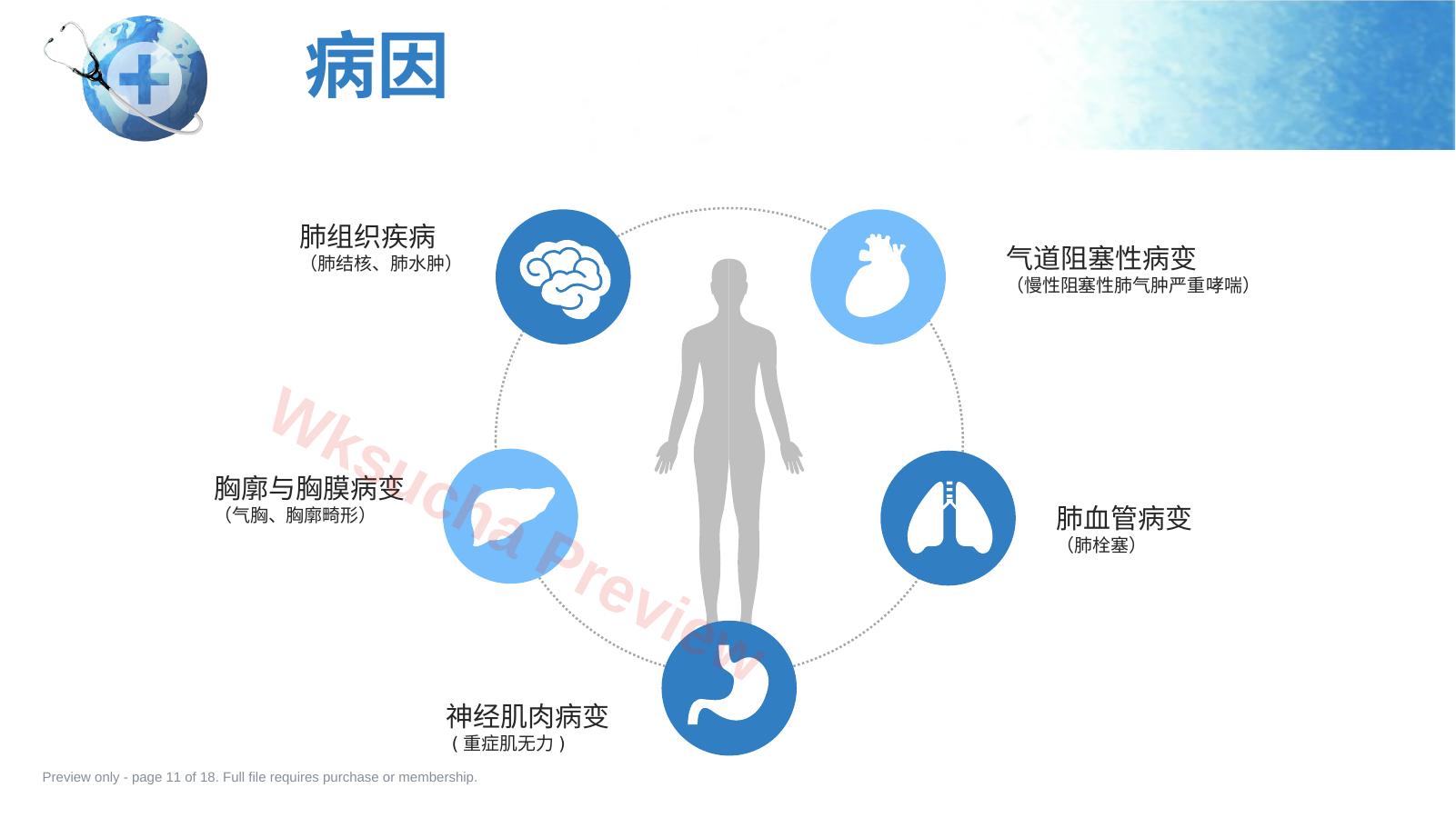 预览第 11 页