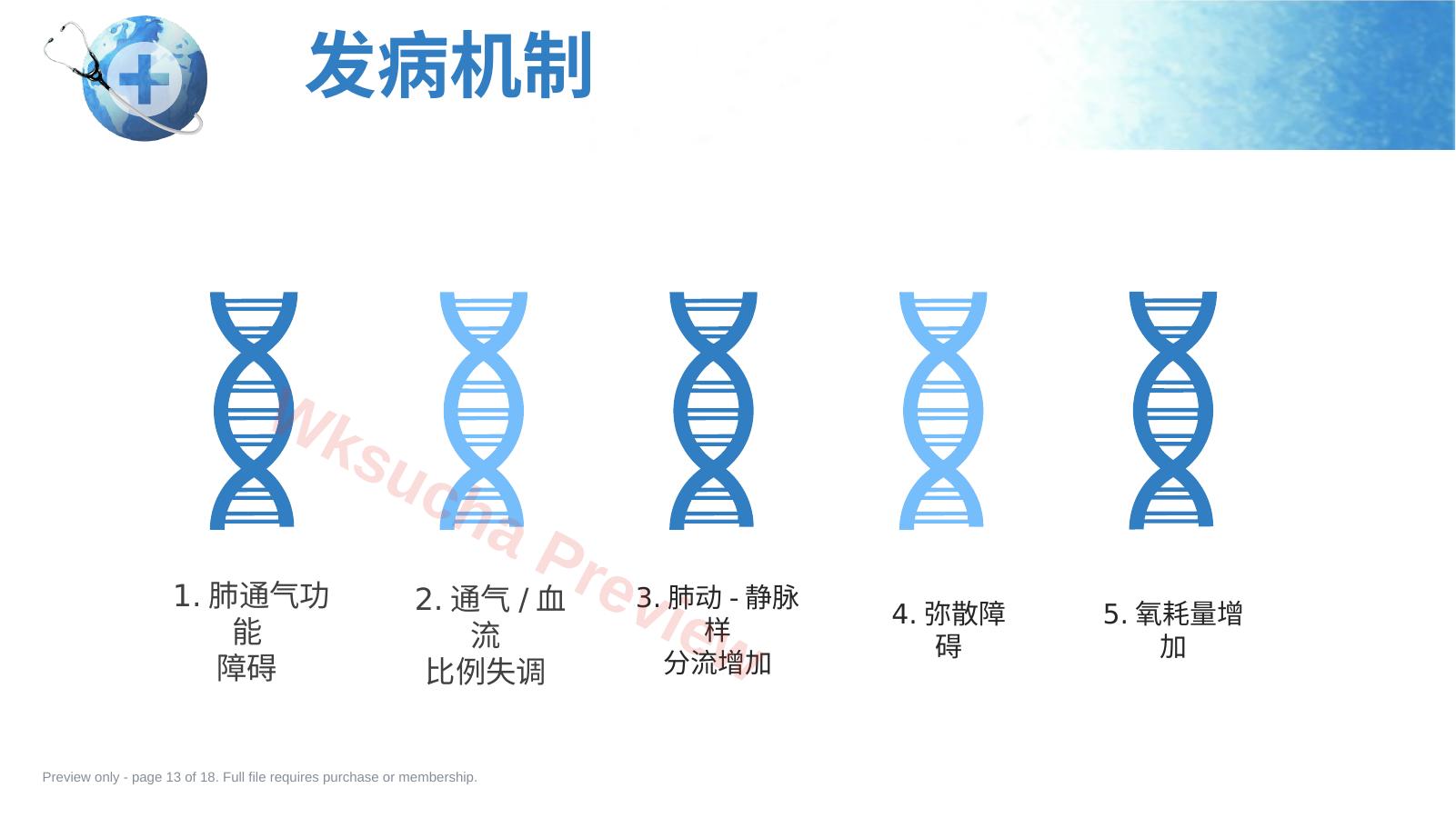 预览第 13 页