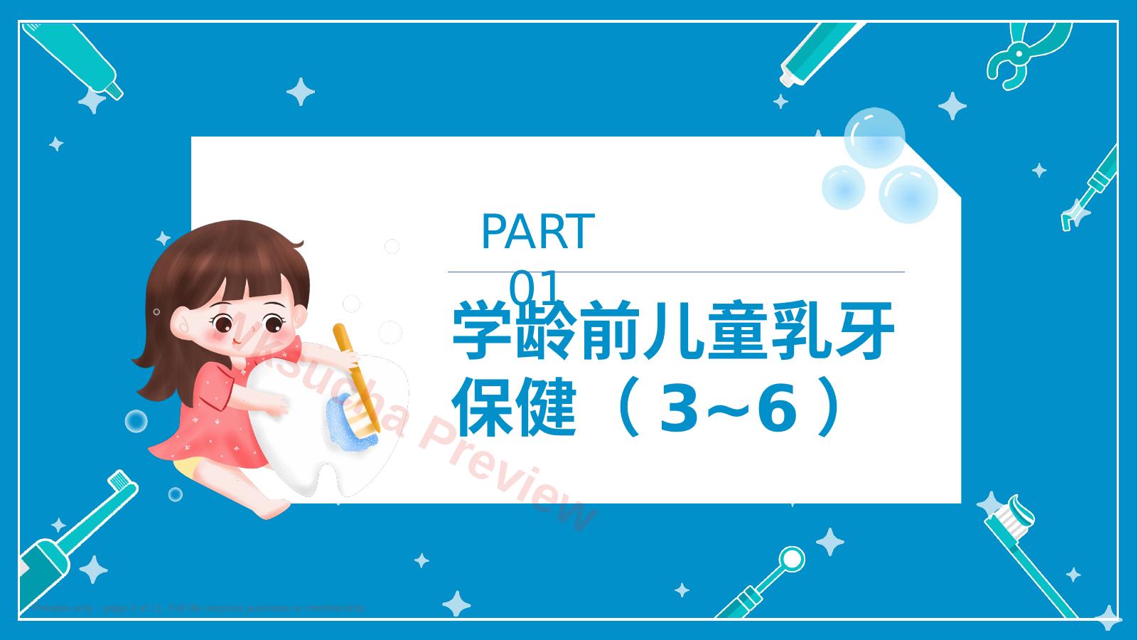 预览第 3 页