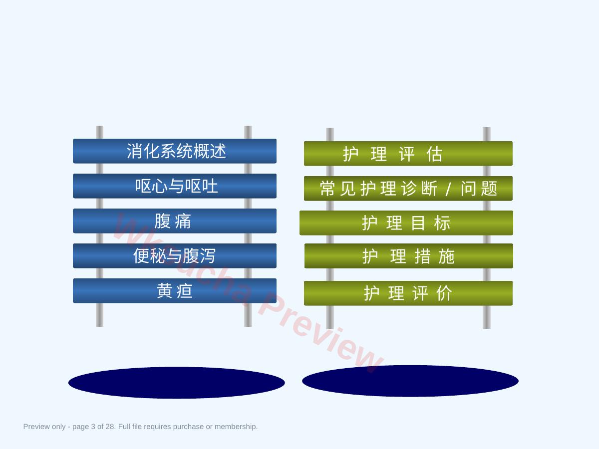预览第 3 页
