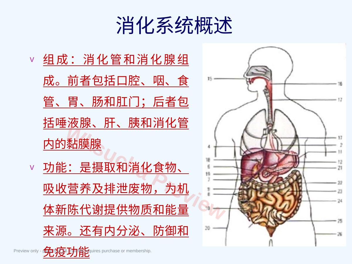 预览第 5 页