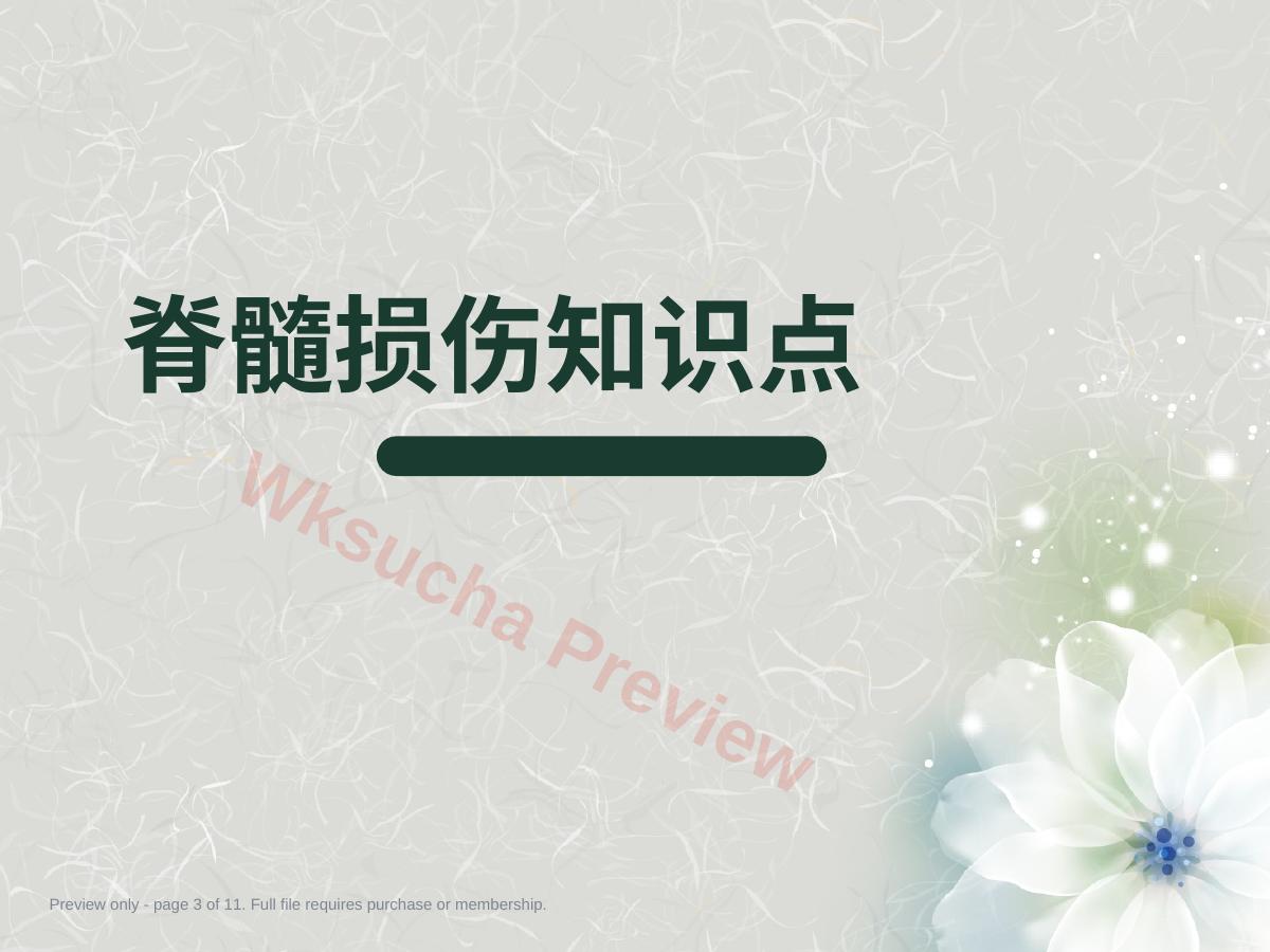 预览第 3 页