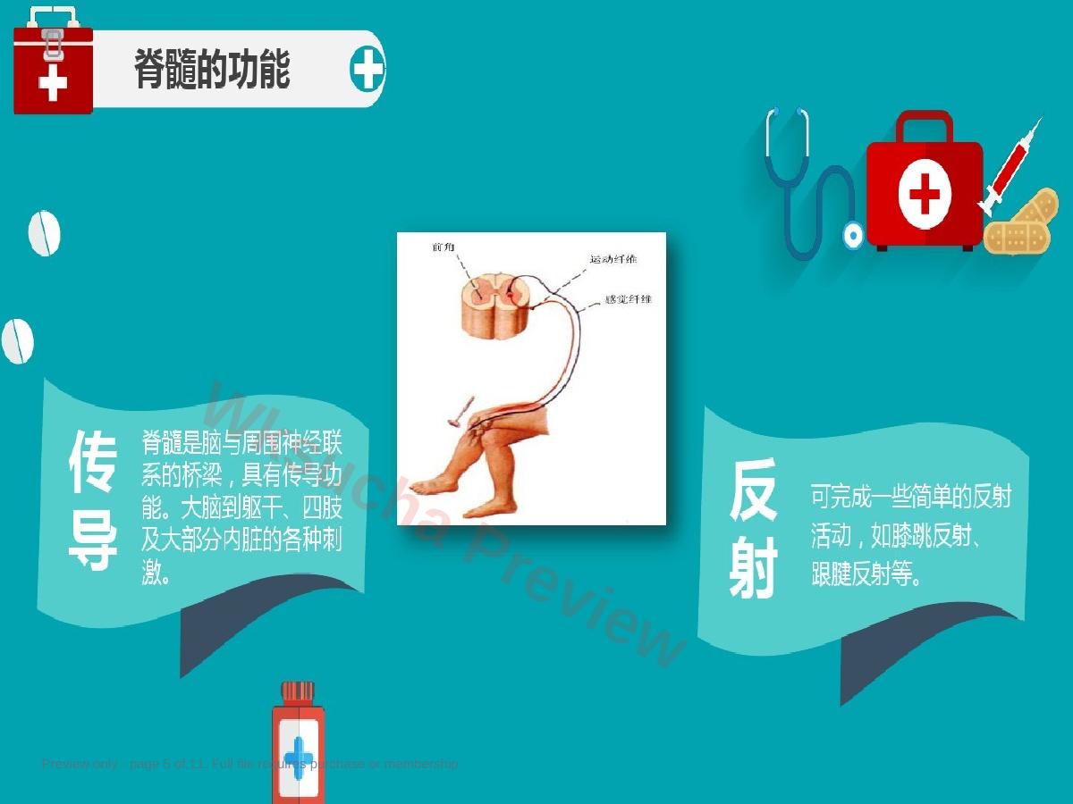预览第 5 页