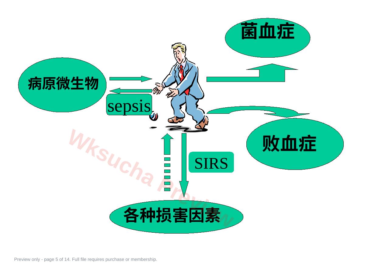 预览第 5 页