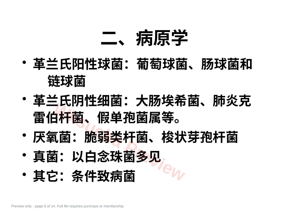 预览第 6 页