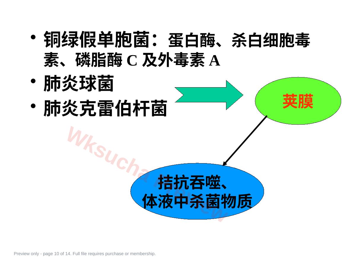 预览第 10 页