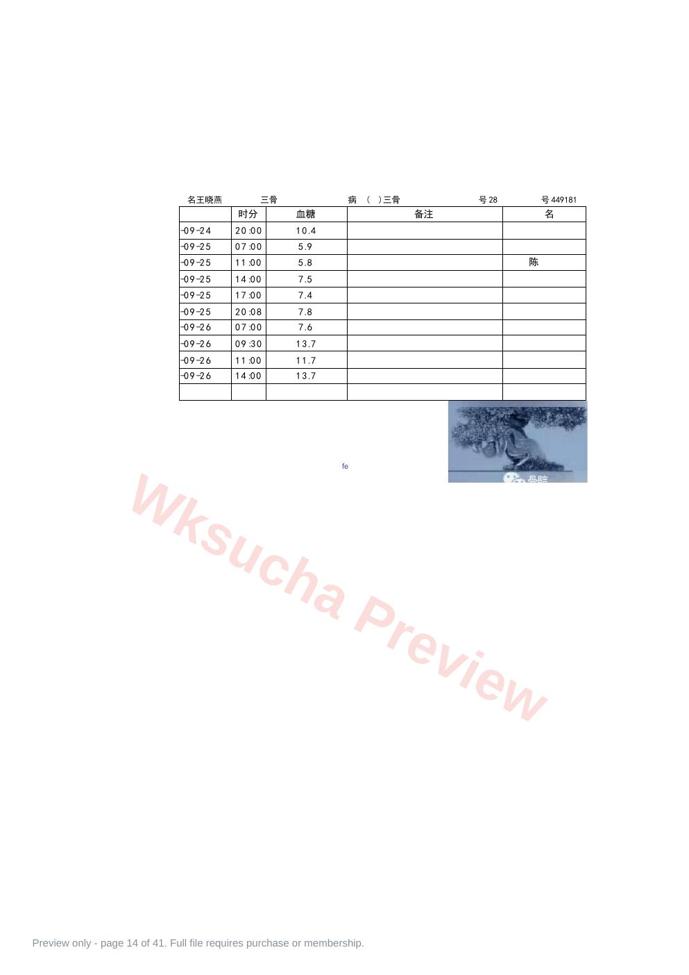 预览第 14 页