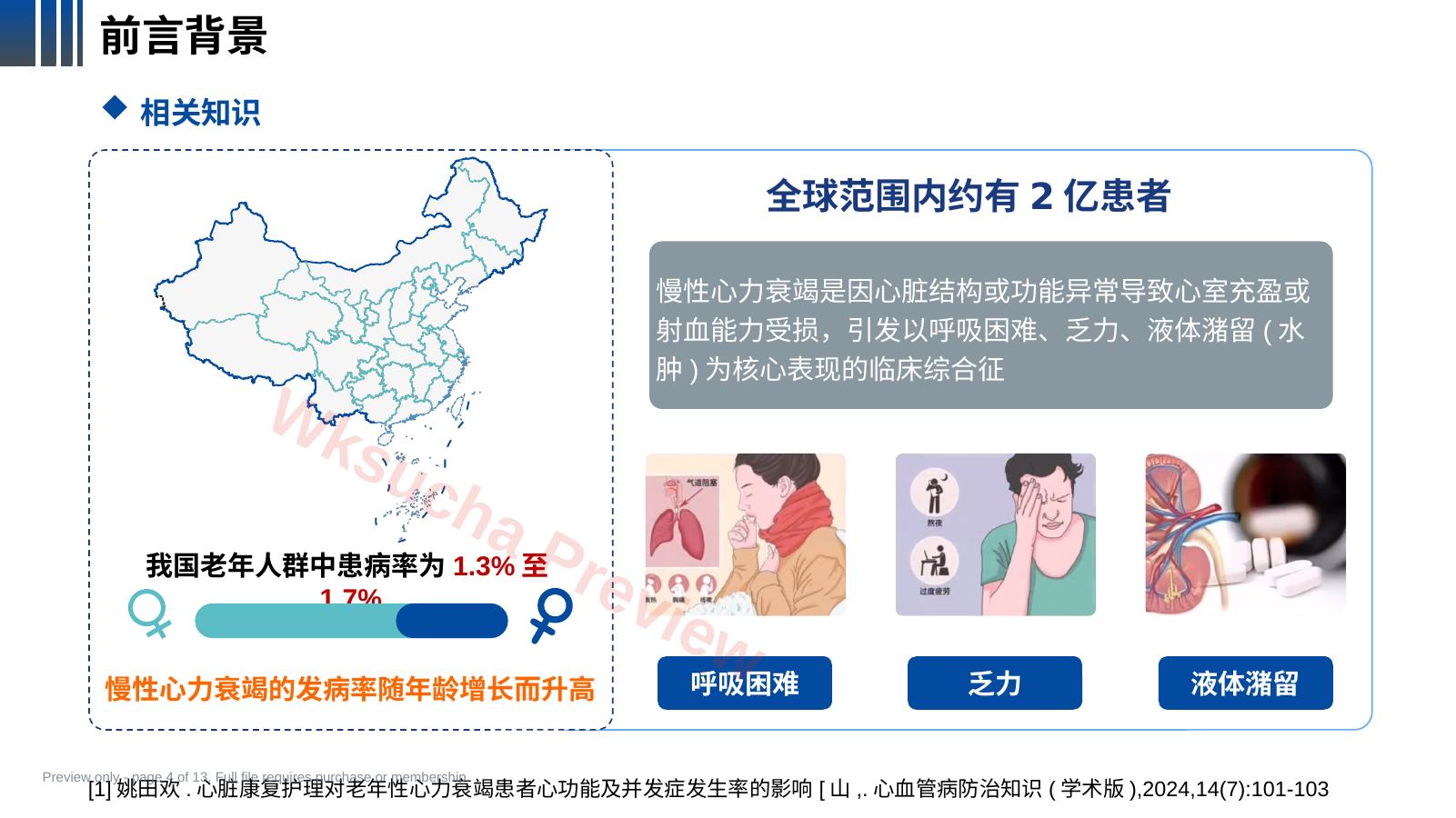 预览第 4 页