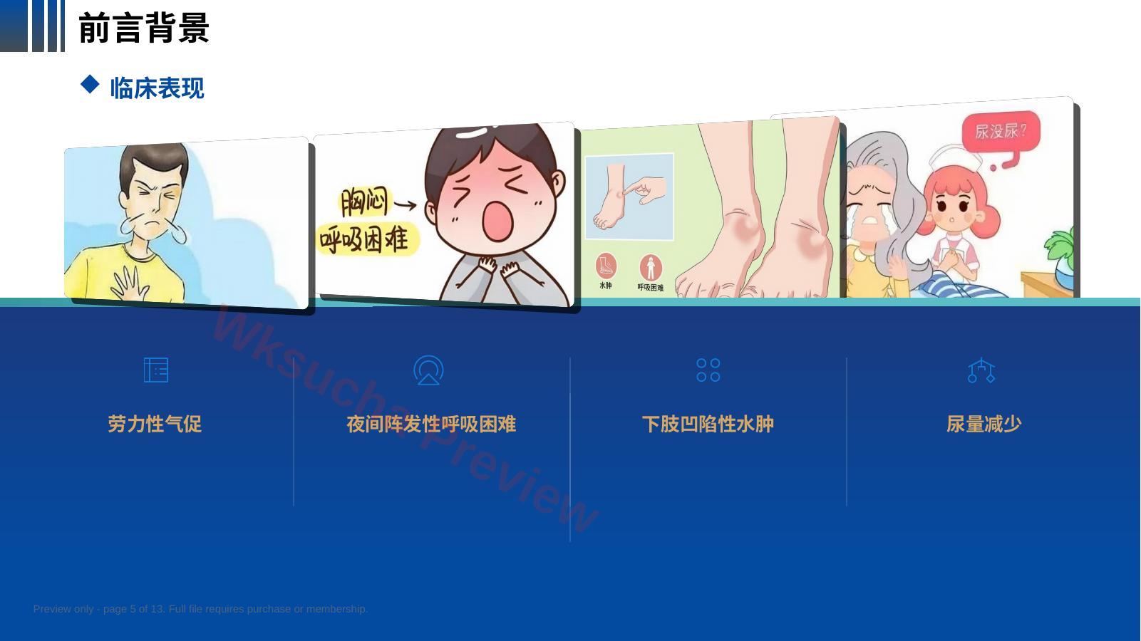 预览第 5 页