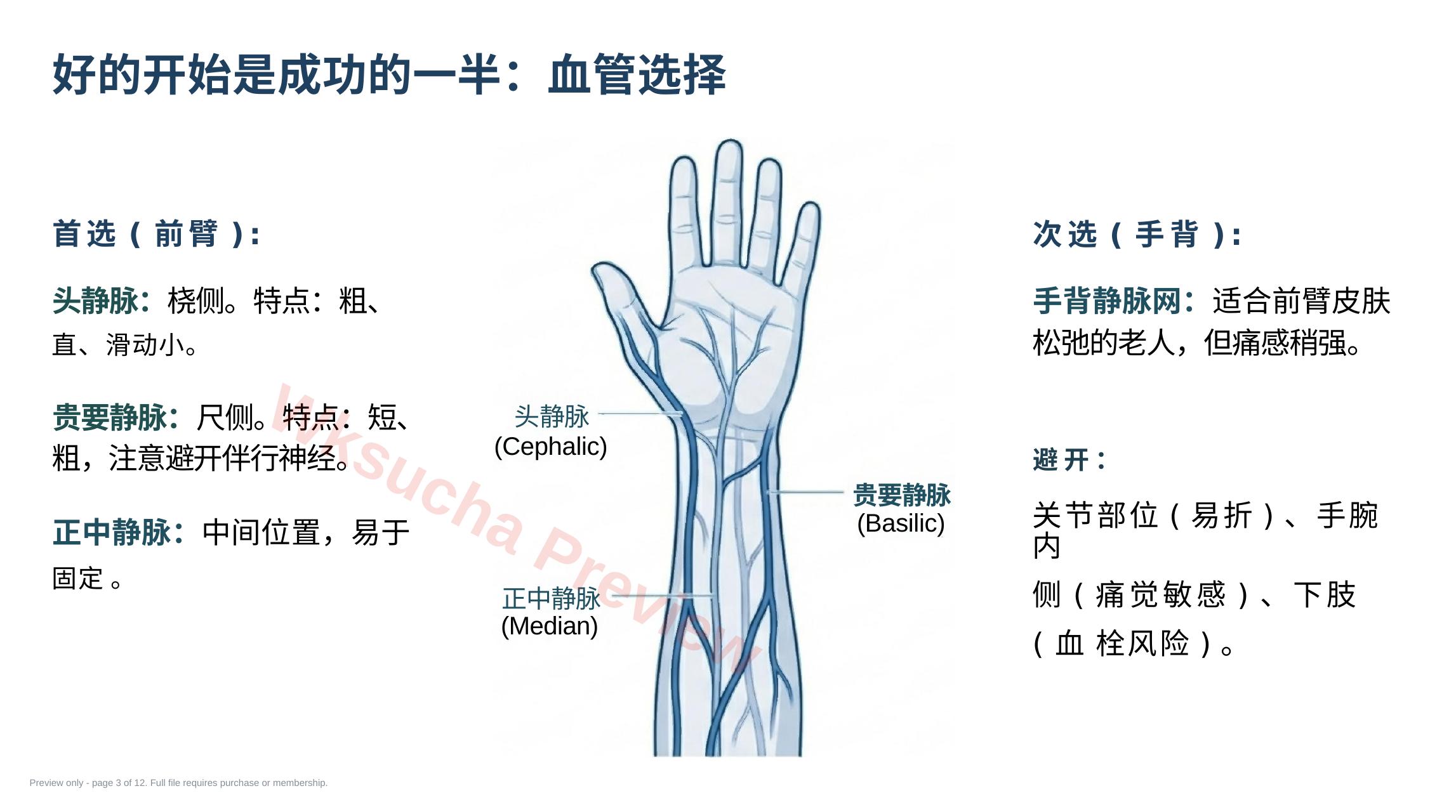 预览第 3 页