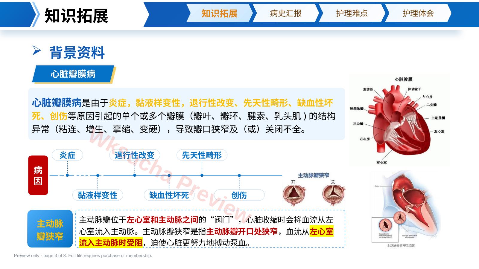 预览第 3 页