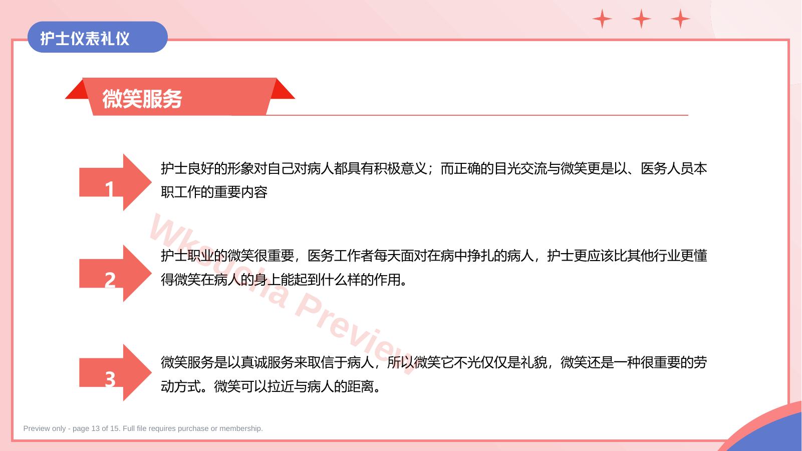预览第 13 页