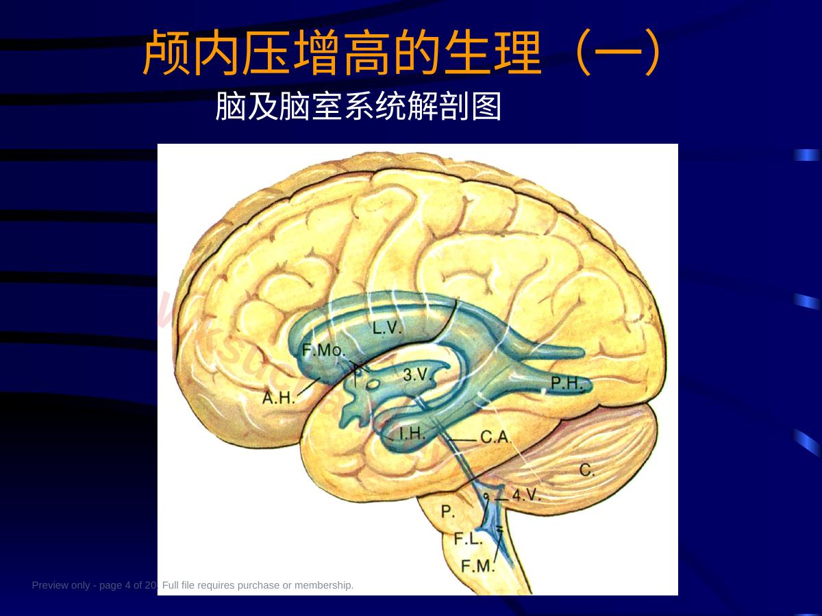 预览第 4 页