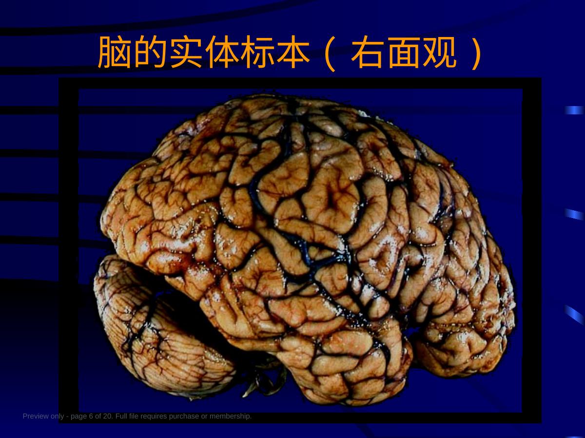 预览第 6 页