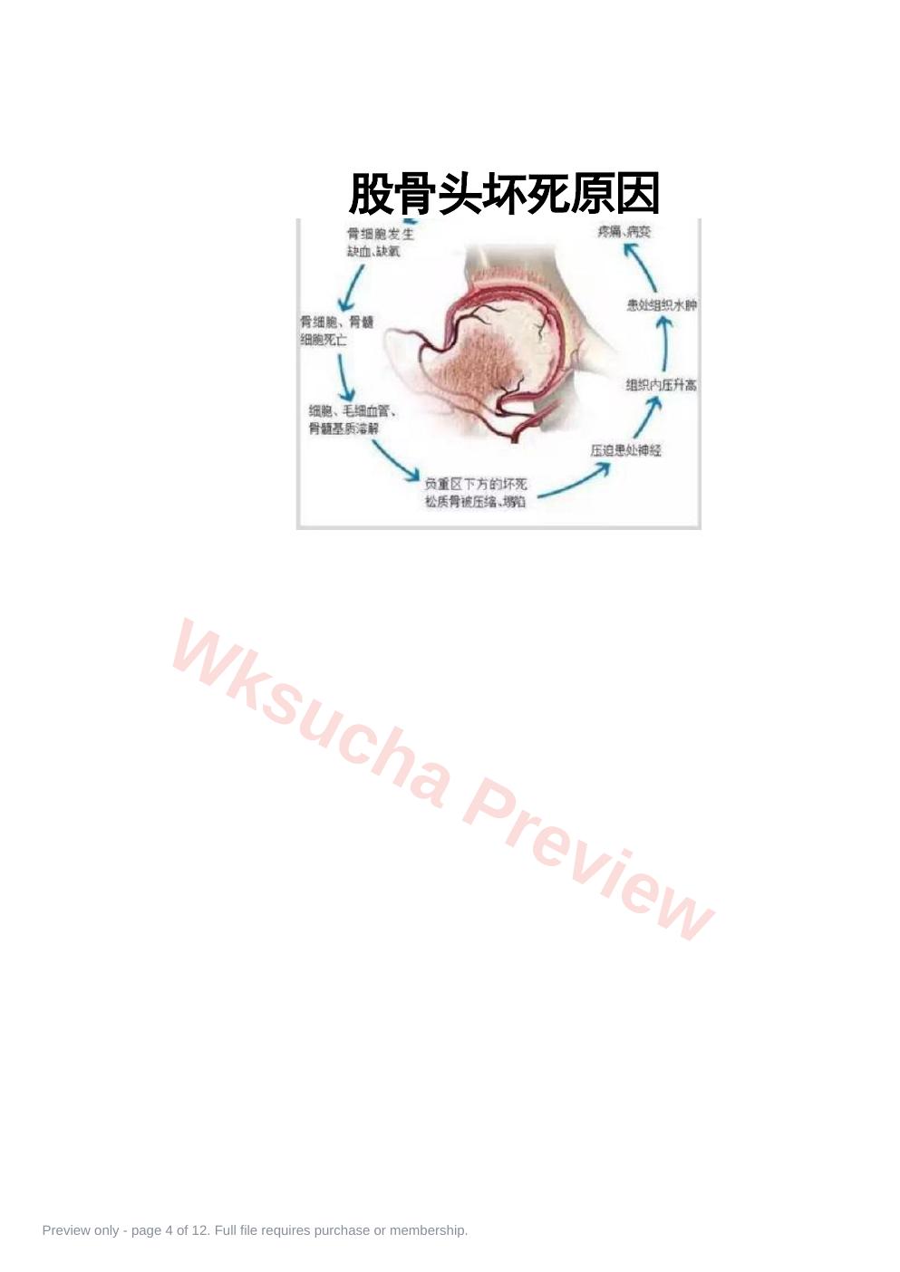 预览第 4 页