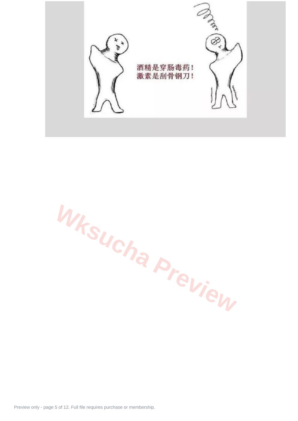预览第 5 页