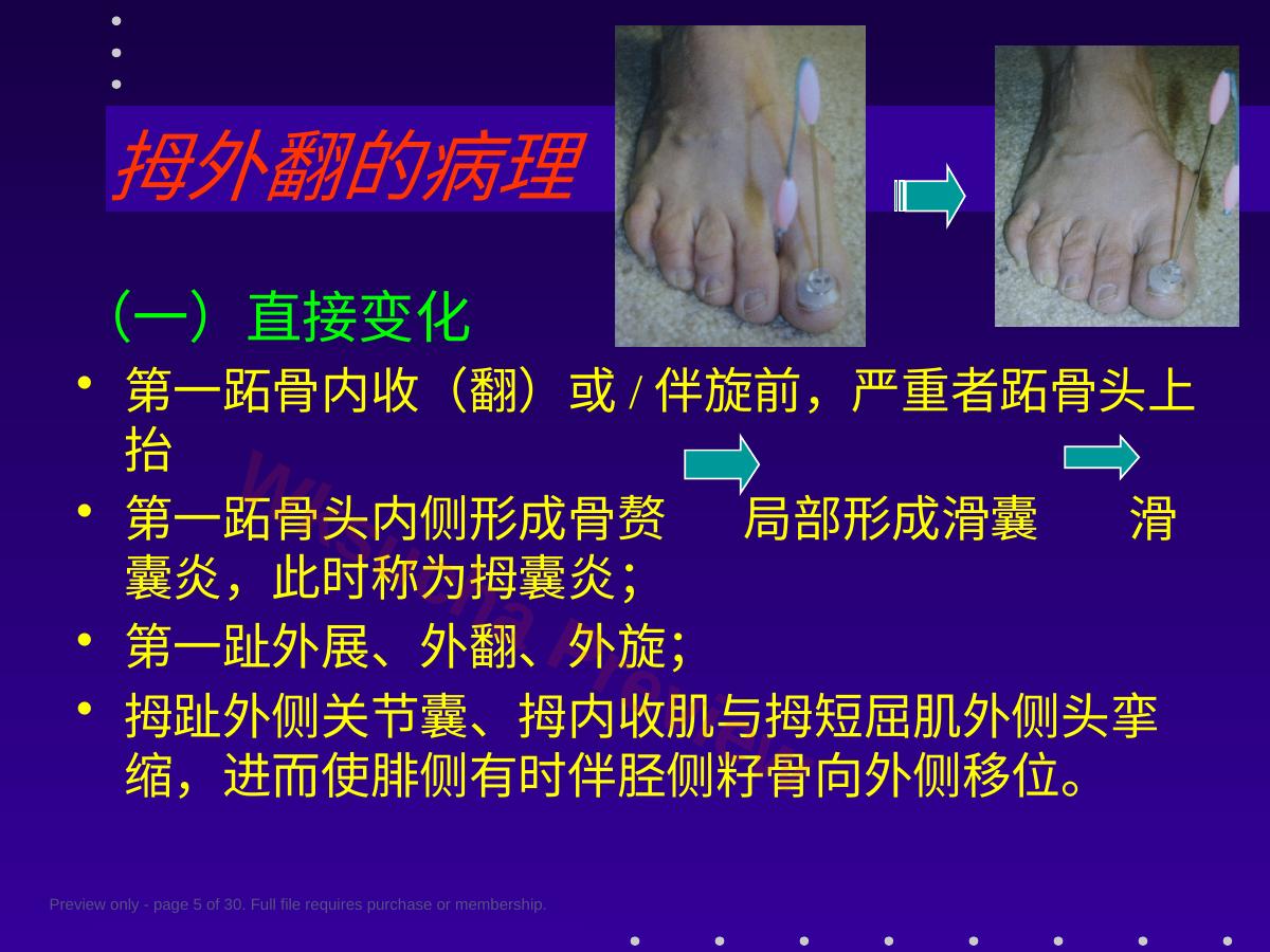 预览第 5 页